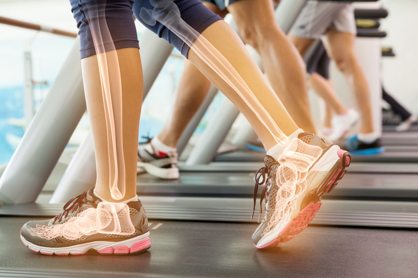 muscles sollicites tapis de course