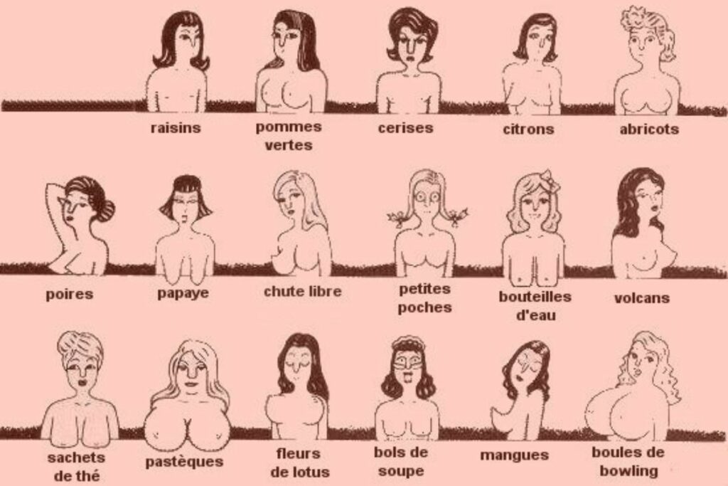 forme des seins personnalite